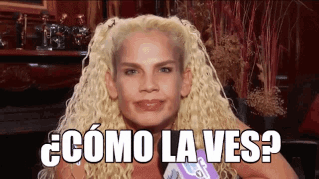 Niurka Niurka Marcos GIF