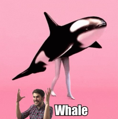 Nms Whale GIF. This 494 x 498 animated GIF is part of our sean murray collection. Related themes include whale. Created by NMSCord. View the original…