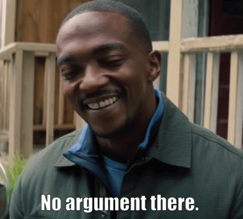 No Argument There Anthony Mackie GIF