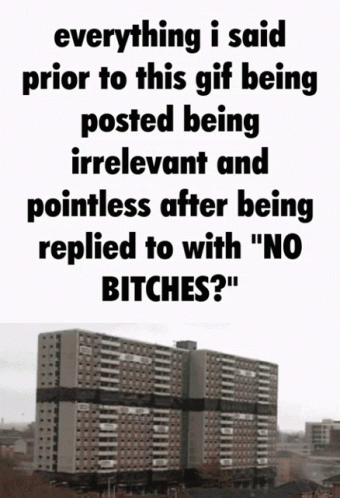 No Bitches Replied GIF