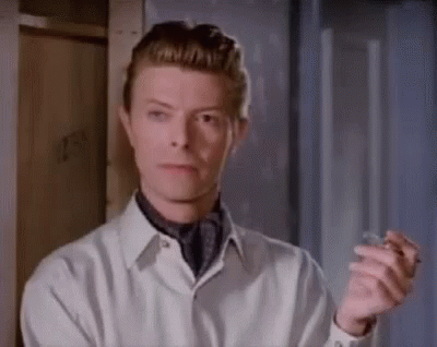 No David Bowie GIF. This 400 x 318 animated GIF is part of our incredulous collection. Related themes include no, nope. Created by cali7. View the original…