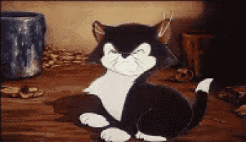 No Figaro GIF