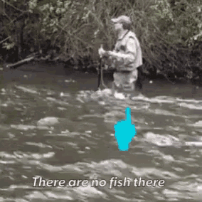 No Fish There Fishing GIF