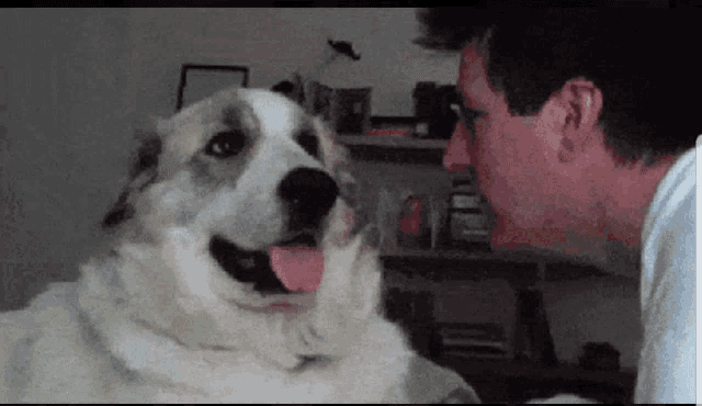No Hit GIF