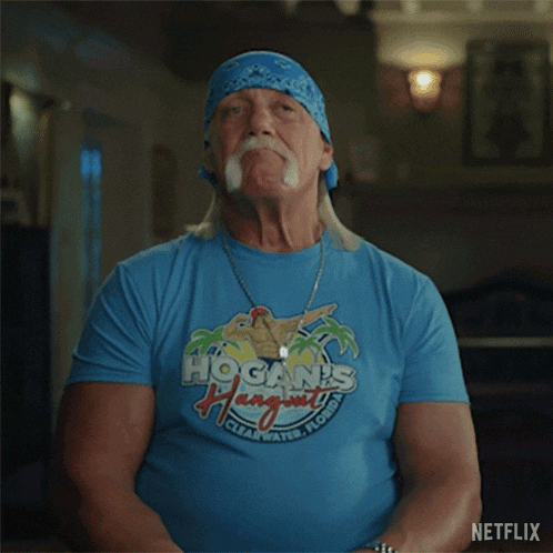 No Hulk Hogan GIF