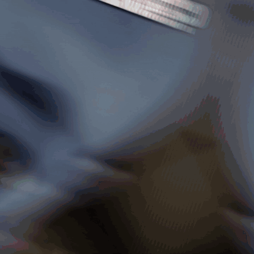 No Img Perms No Image Perms GIF