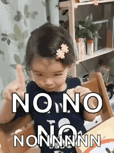 No Nooo GIF