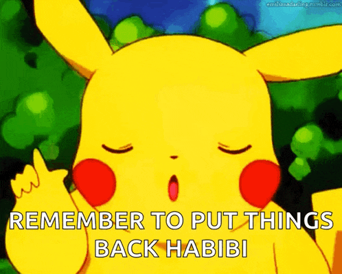 No Pikachu GIF