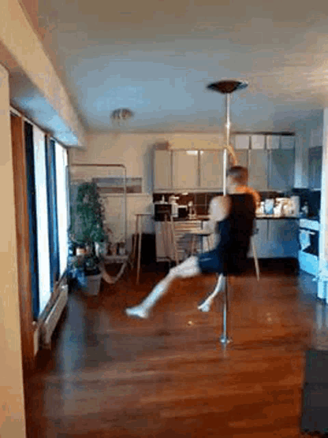 No Pole GIF