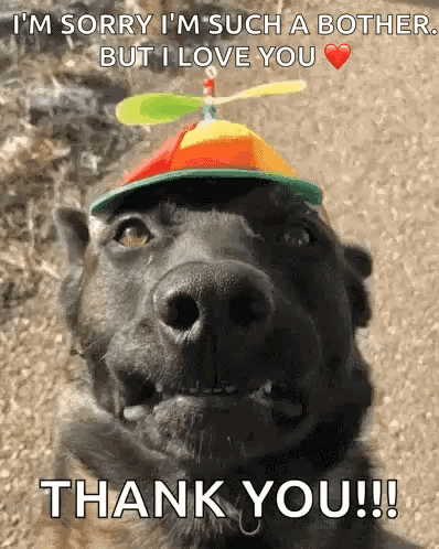 No Really GIF. This 398 x 498 animated GIF is part of our thank you pictures collection. Related themes include funny dog, no, really. Created by Genx4369…