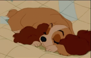 No Sleep GIF