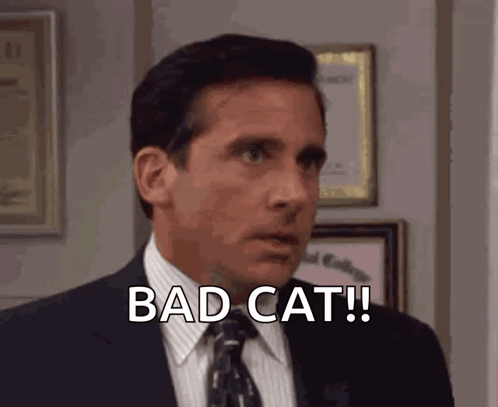 No The Office GIF. This 498 x 407 animated GIF is part of our michael scott noooo collection. Related themes include michael scott, no, scream. Created by…