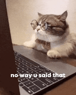 No Way U Said That GIF