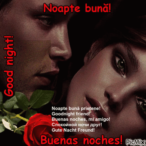 Noapte Buna GIF