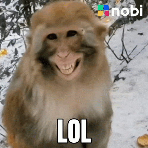 Nobi Pintu GIF. This 498 x 498 animated GIF is part of our mort de rire collection. Related themes include crypto, funny, lol. Created by NobiMeme. View the…