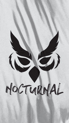 Noc25 GIF