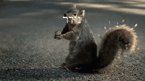 Noder Pipox GIF