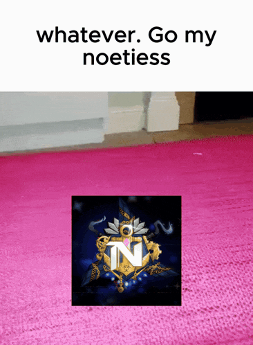 Noetiess Noetiess Network GIF