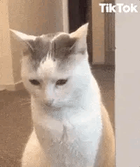 Noooo GIF