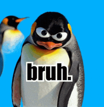 Nootnootmfers Noot Noot GIF