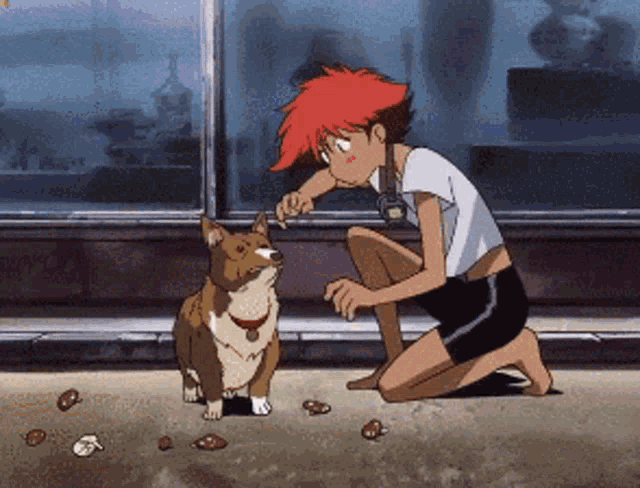 Nope Ein GIF