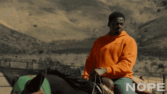 Nope Horse GIF