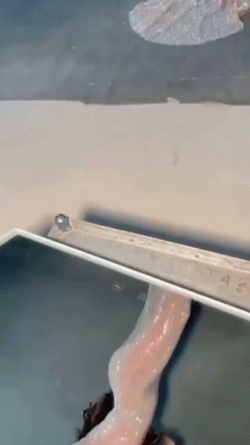 Nora Fatehi Keert GIF