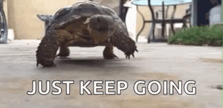 Normal Day Lame GIF