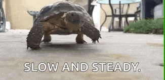 Normalday Lame GIF