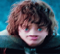 Nose Lord Of The Rings GIF