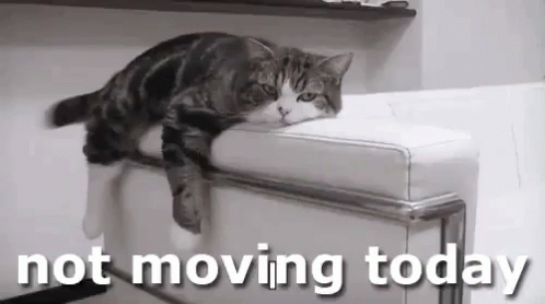 Not Moving Today Couch Potato GIF