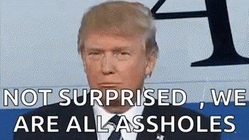 Not Surprised Donald Trump GIF