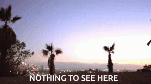 Nothing To See Here Nothing GIF