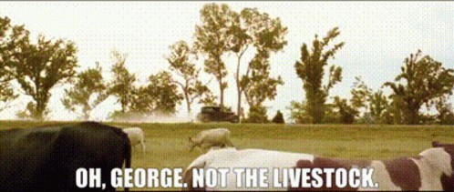 Notthelivestock Ohbrotherwhereartthou GIF. This 498 x 211 animated GIF is part of our o brother where art thou collection. Created by berdmann. View the…