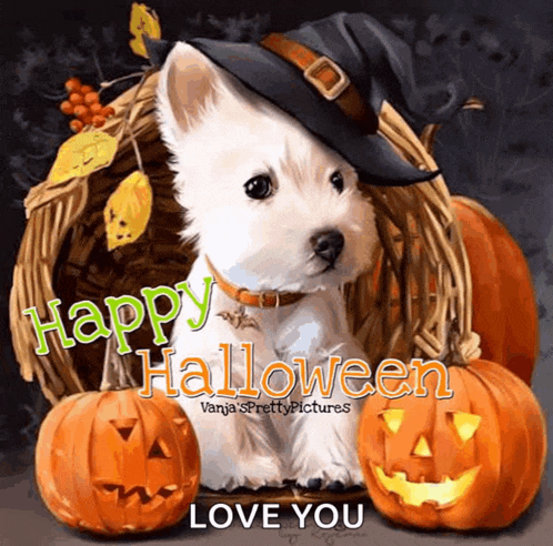 November2021happy Haloween Meme