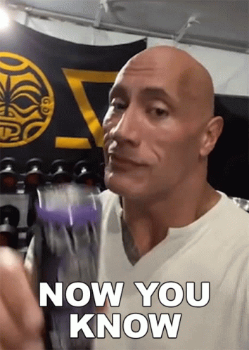 Now You Know Dwayne Johnson GIF