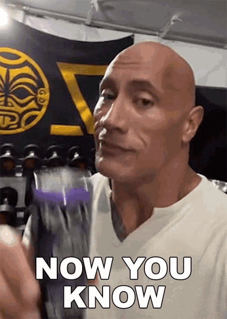 Now You Know Dwayne Johnson GIF