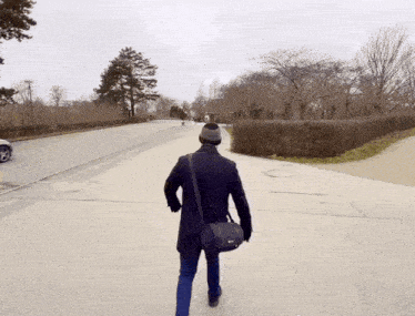 Npc Walk GIF