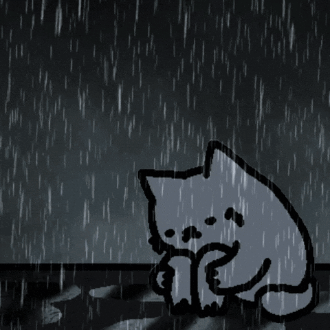 Nub Cat Silly Cat GIF