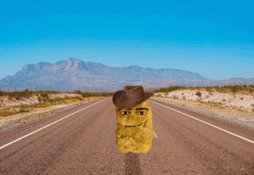 Nuggets GIF