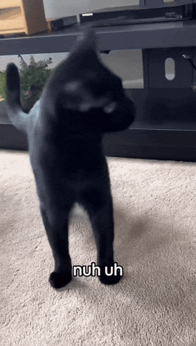 Nuh Uh Meme No GIF