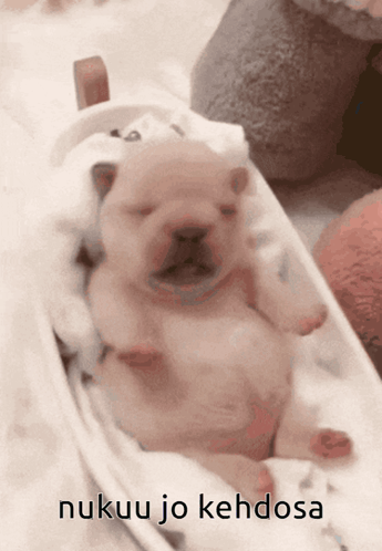 Nukuu Jo Kehdosa GIF
