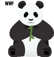 Nuntius Nuntius Panda Sticker
