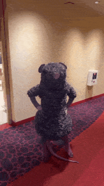 Nut Cracker Rat Nutcracker Rat GIF