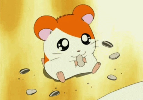Nuts Hamster GIF