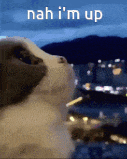 O GIF