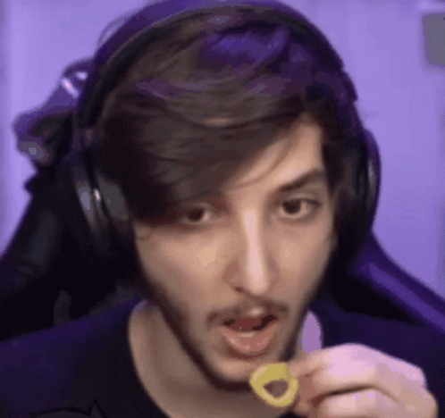 O Segredo Na Floresta Calango GIF