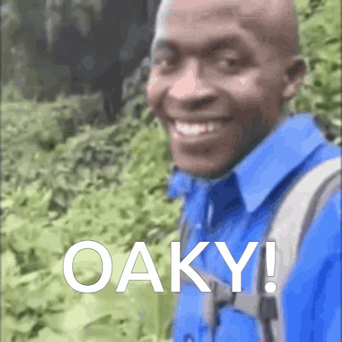 Oaky Okay Ok Meme Typo Oakley GIF. This 498 x 498 animated GIF is part of our ok collection. Created by mipopo1. View the original animation, share it, or…