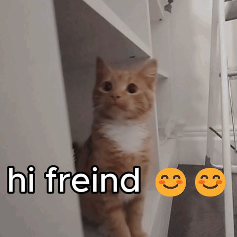 Oatmeal Cat GIF