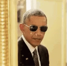 Obama Biden GIF